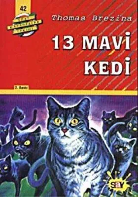 13 Mavi Kedi