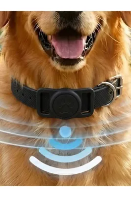 Gözcü Mobil Boş Airtag Yuvalı Kedi Köpek Tasması Evcil Hayvan Pet Takip Cihazı Silikon Yaka Kılıfı Şık Tasarım