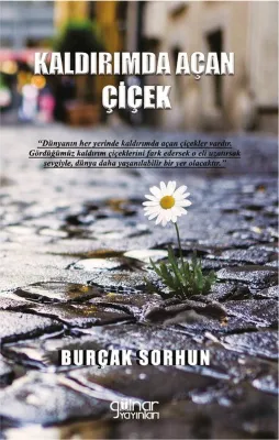 Kaldırımda Açan Çiçek