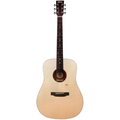 Trumon 150D Akustik Gitar