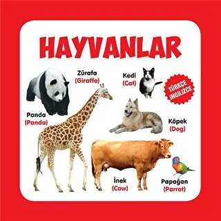 Hayvanlar