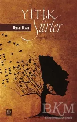 Yitik Şiirler
