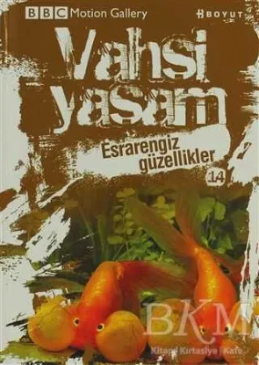 Vahşi Yaşam 2 - Esrarengiz Güzellikler