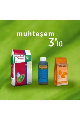 ALTINTAR Muhteşem Üçlü Set Agroleaf Power 11-05-19 9cao 2,5 Mgo Nutrimin 1 Kg Blackjak Sc 1 Litre