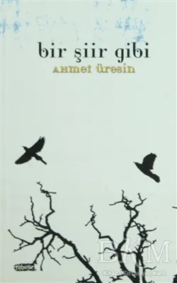 Bir Şiir Gibi