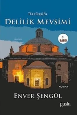 Darüşşifa - Delilik Mevsimi