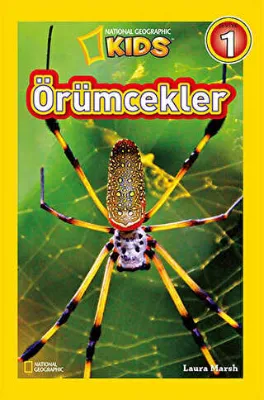 Örümcekler