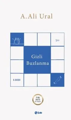 Gizli Buzlanma