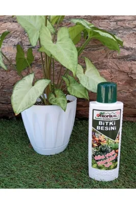 Ekodoğa Bitki Besini 1 Adet 225 Ml Yeşil Yapraklı Bitkiler Için Sıvı Gübre Bitki Vitamini Benjamin Besini
