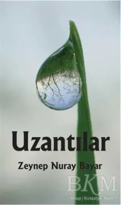 Uzantılar