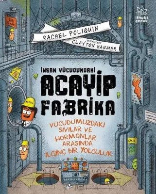 İnsan Vücudundaki Acayip Fabrika - Vücudumuzdaki Sıvılar ve Hormonlar Arasında İlginç Bir Yolculuk