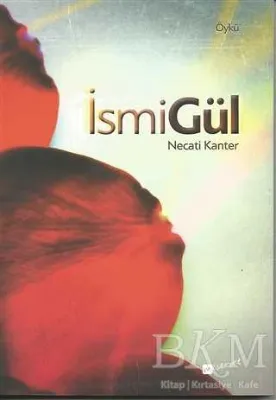 İsmigül