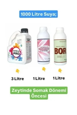 Pozitif Gübre Zeytin Somak Çiçek Öncesi Uygulama Mikroelement Azot Fosfor Sıvı Gübre Tüm Sezon Bitki Besini