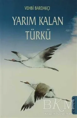 Yarım Kalan Türkü
