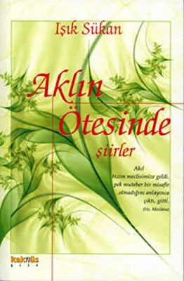 AKLIN ÖTESİNDE ŞİİRLER