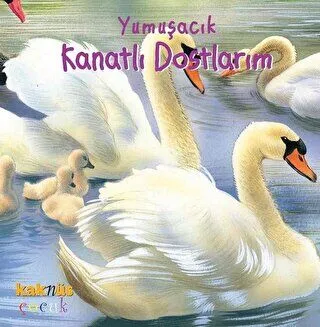 YUMUŞACIK KANATLI DOSTLARIM
