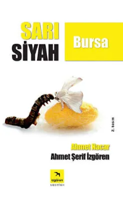 Sarı Siyah Bursa