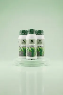 Carbonado Turquoise Seaweed 1L Sıvı Deniz Yosunu 3'lü Set