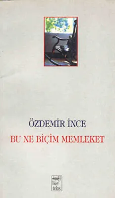 Bu Ne Biçim Memleket