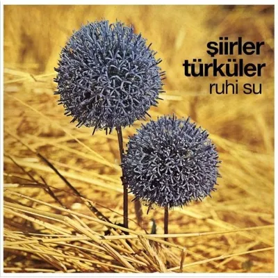 Şiirler Türküler