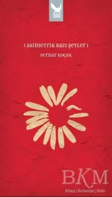 Asimetrik Bazı Şeyler