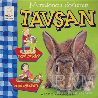 Maratoncu Dostumuz Tavşan Nasıl Bakılır? Nasıl Oynanır?