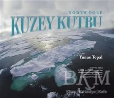 Kuzey Kutbu North Pole