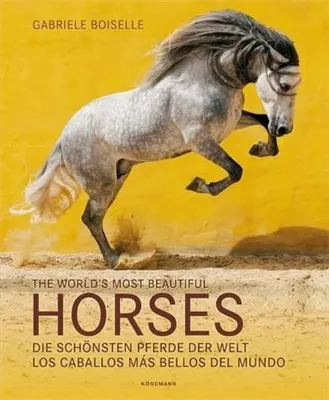 The World's Most Beautiful Horses