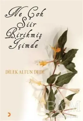 Ne Çok Şiir Birikmiş İçimde