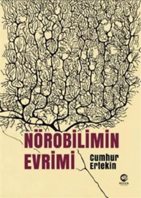 Nörobilimin Evrimi