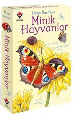 Doğa Kartları - Minik Hayvanlar