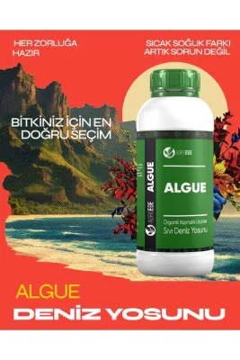 AGROEGE ALGUE (İthal Sıvı Deniz Yosunu gübresi) 1 Lt