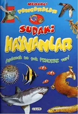 Meraklı Pencereler - Sudaki Hayvanlar