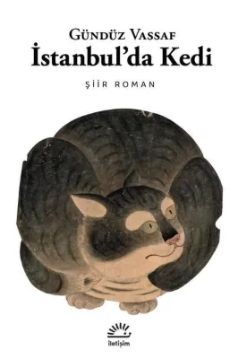 İstanbul'da Kedi - Şiir Roman