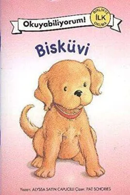 Bisküvi