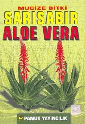 Mucize Bitki Sarı Sabır Aloe Vera Bitki-017