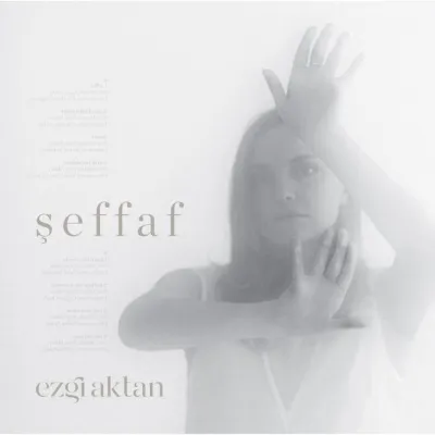 Şeffaf Plak