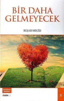 Bir Daha Gelmeyecek