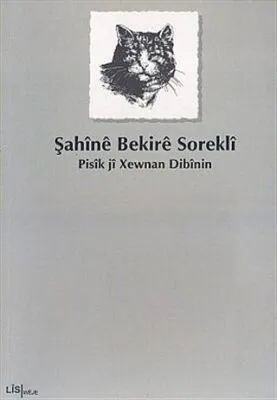 Pisik ji Xewnan Dibinin