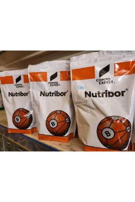 Compo EXPERT NUTRİBOR 1 KG GÜBRE. ALMAN MALI