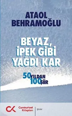 Beyaz İpek Gibi Yağdı Kar