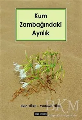 Kum Zambağındaki Ayrılık