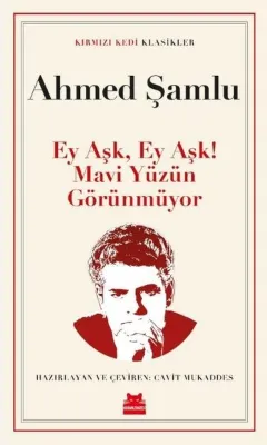 Ey Aşk Ey Aşk! Mavi Yüzün Görünmüyor