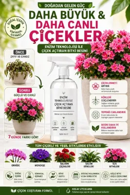 Abelya Çiçek Açtıran Bitki Besini 500 ml | Sıvı Gübre | Orkide, Menekşe, Salon Bitkileri İçin