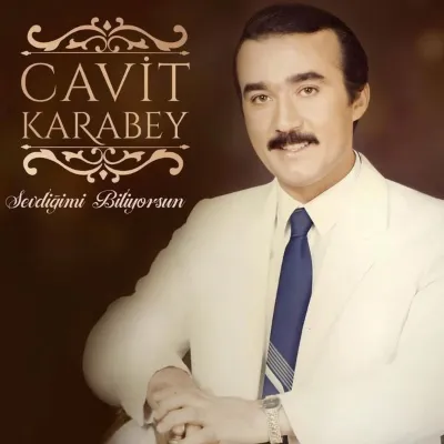 Sevdiğimi Biliyorsun Plak