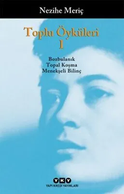 Toplu Öyküleri 1