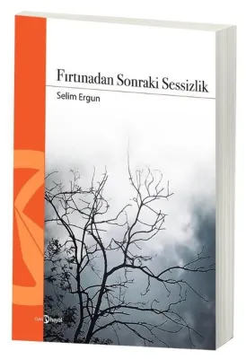Fırtınadan Sonraki Sessizlik