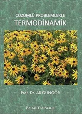 Çözümlü Problemlerle Termodinamik