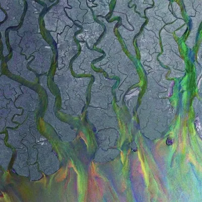 An Awesome Wave Repress / White Vinyl