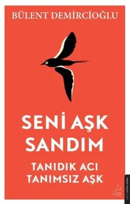 Seni Aşk Sandım - Tanıdık Acı Tanımsız Aşk
